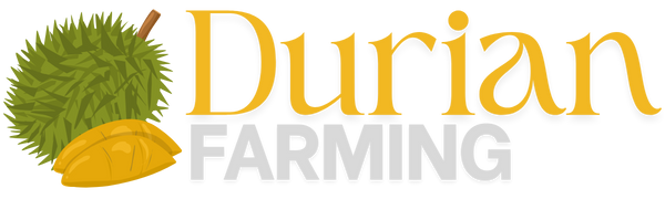 Durian Farming